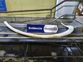  Imágen 1 - Galería