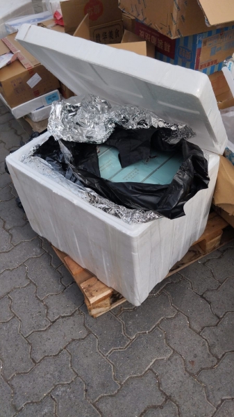  Imágen 7 - Galería