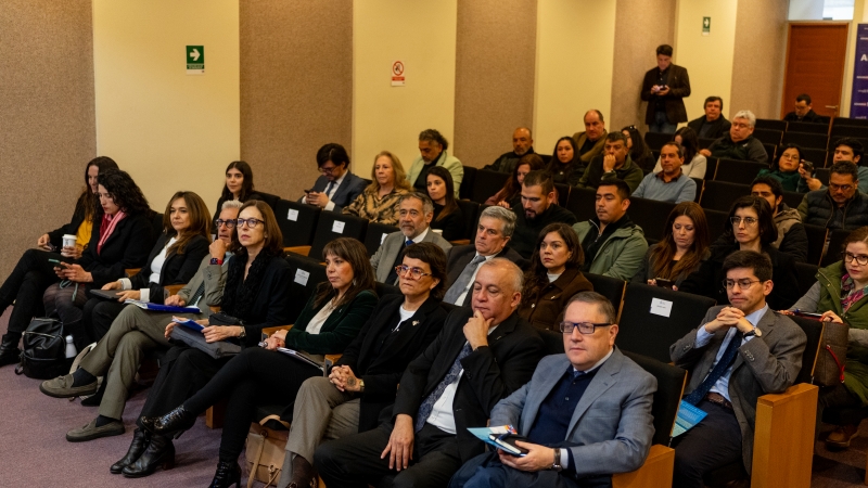  Imágen 4 - Galería