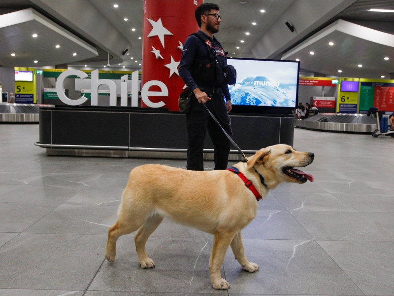  Imágen 2 - Galería