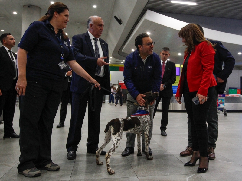  Imágen 3 - Galería