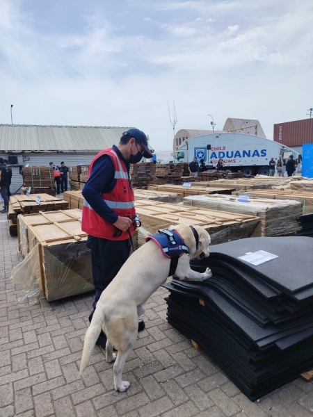  Imágen 5 - Galería